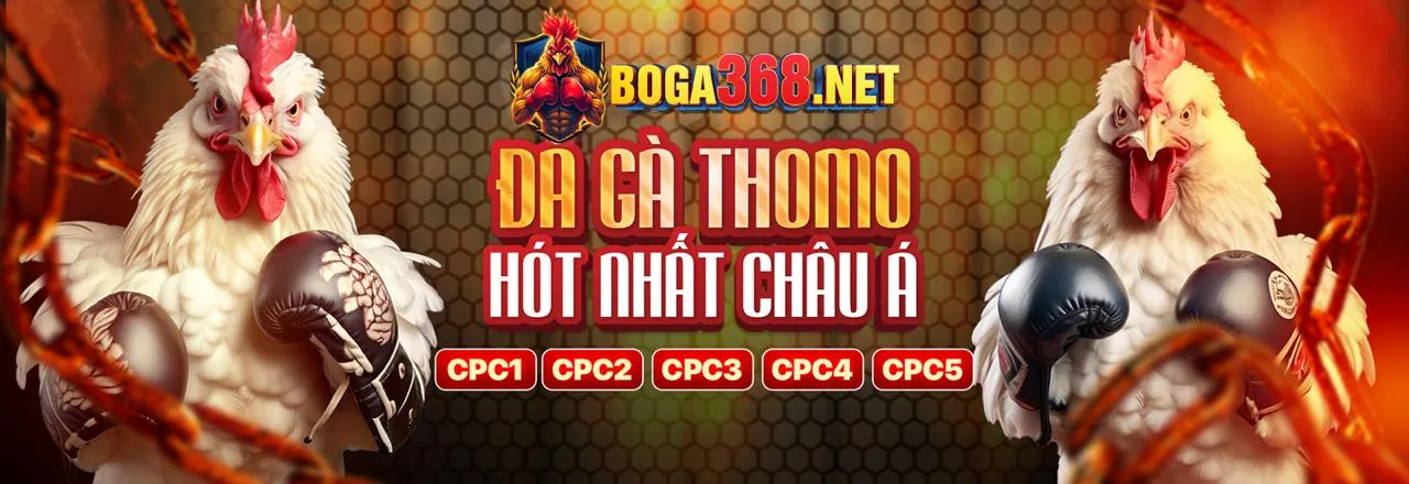 Trận đá gà trực tuyến kịch tính tại b9casino login